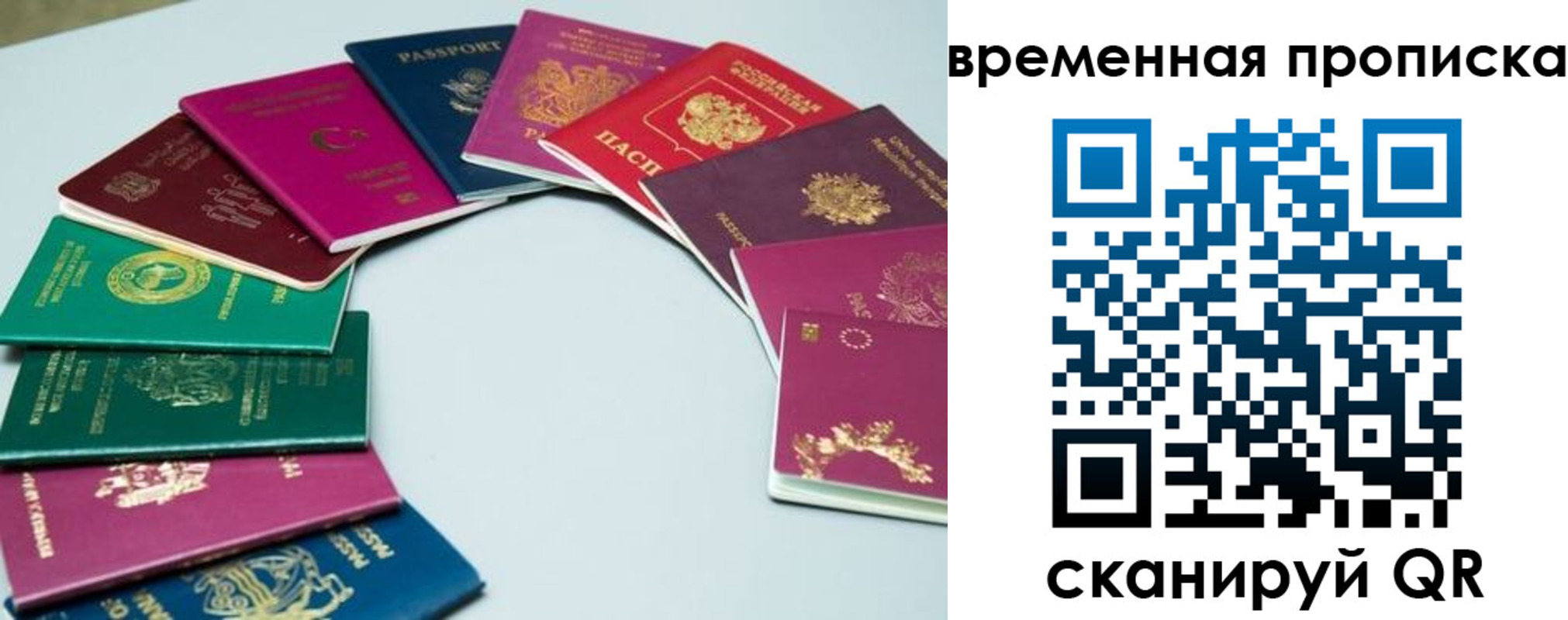 найти адрес прописки в Барыше